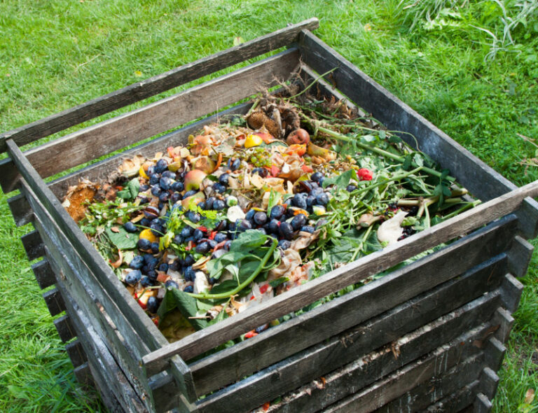 Compost de la résidence