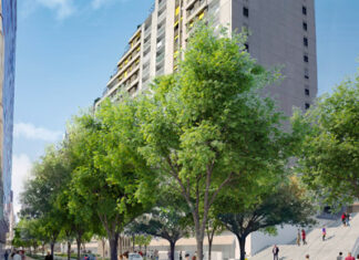 Plantation des arbres rue du Vieux Pont de Sèvres